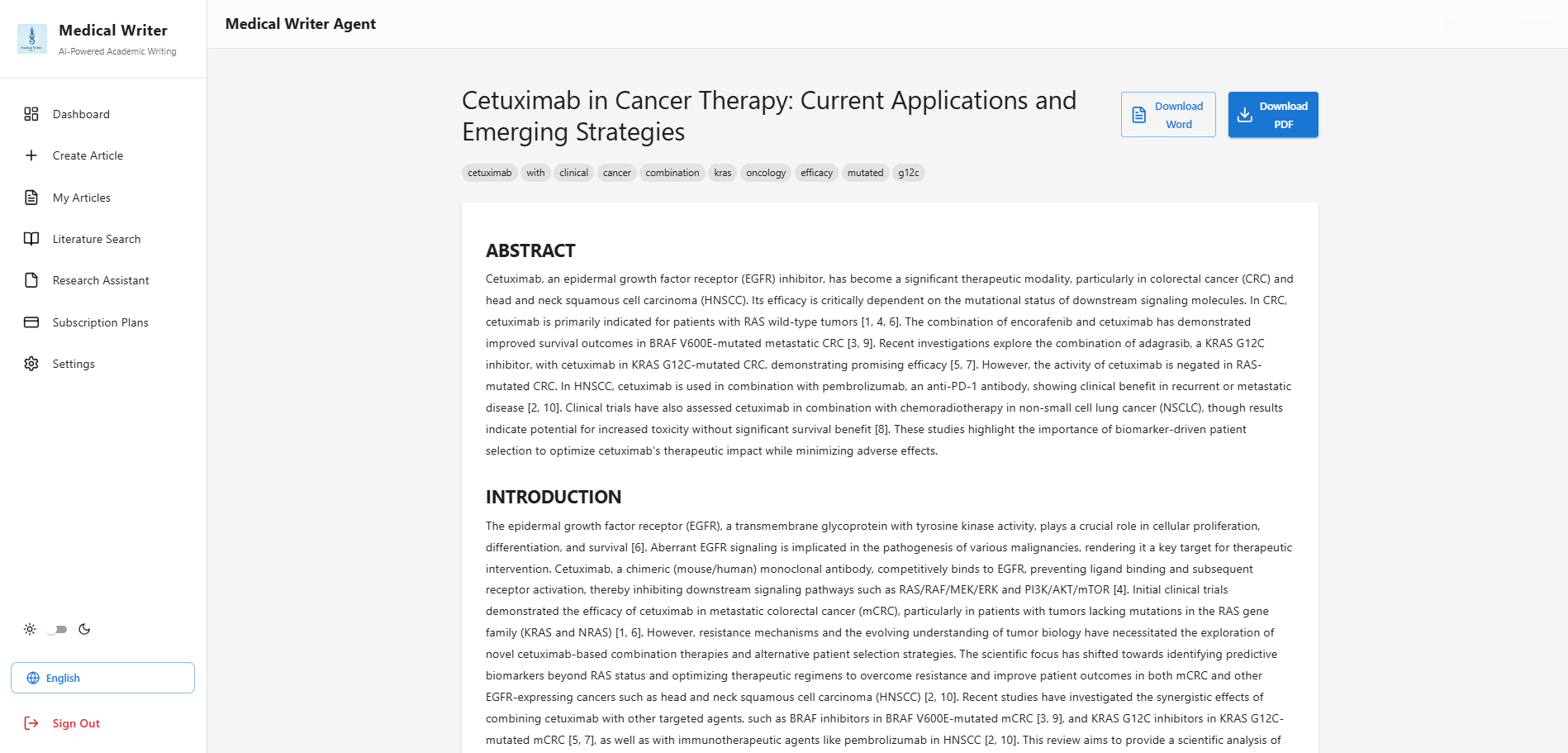 Export Options Interface